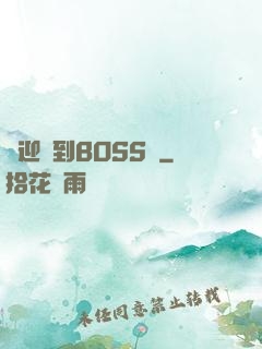 歡迎來到BOSS隊