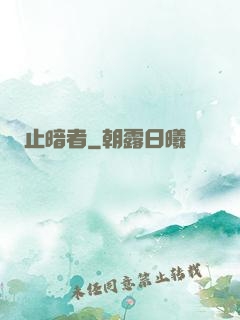 止暗者