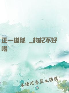 正一道秘聞