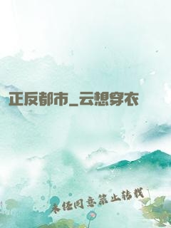 正反都市