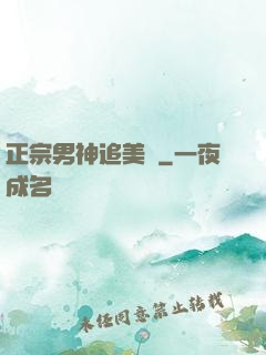 正宗男神追美記