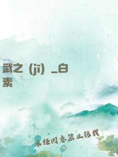 武之機(jī)鎧