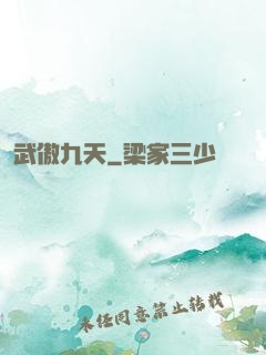 武傲九天