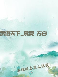 武傲天下
