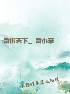 武傲天下