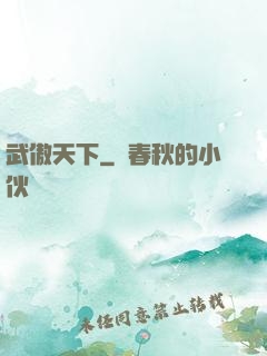 武傲天下