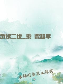 武娘二世