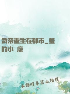 武帝重生在都市