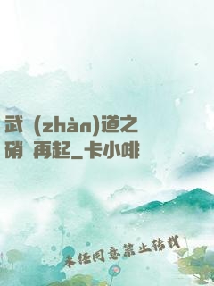 武戰(zhàn)道之硝煙再起