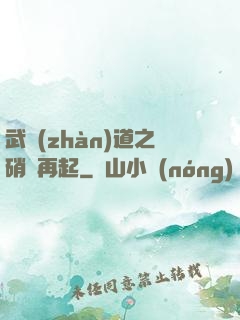 武戰(zhàn)道之硝煙再起