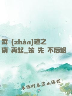 武戰(zhàn)道之硝煙再起