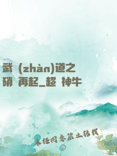 武戰(zhàn)道之硝煙再起