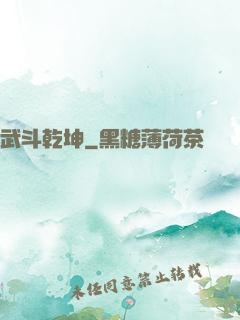 武斗乾坤