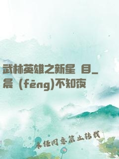 武林英雄之新星奪目