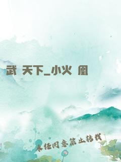 武極天下
