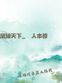 武破天下