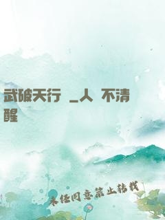 武破天行記