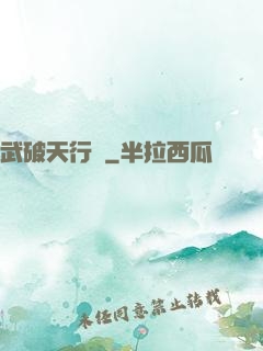 武破天行記