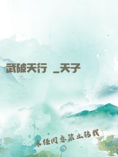 武破天行記