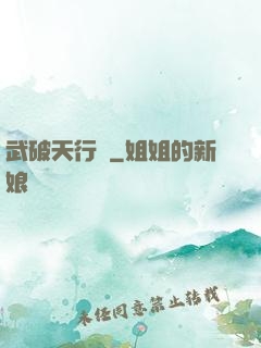 武破天行記