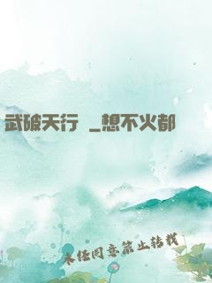 武破天行記