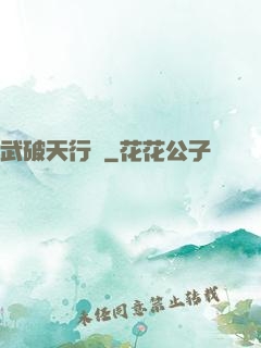 武破天行記