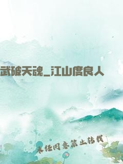 武破天魂