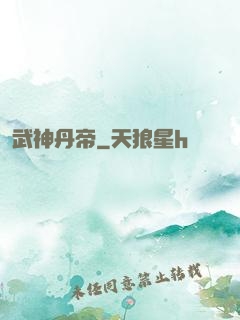 武神丹帝