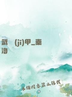 武裝機(jī)甲