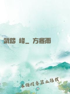 武踏巔峰