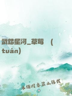 武踏星河