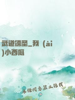 武道儒圣
