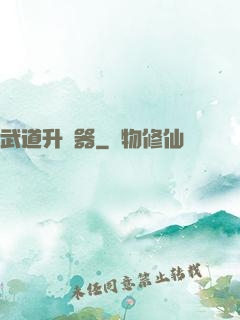 武道升級器