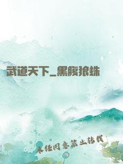 武道天下