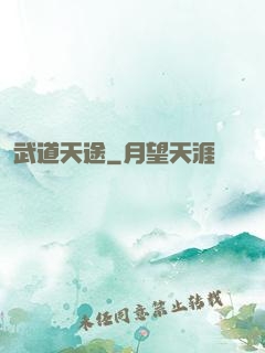 武道天途