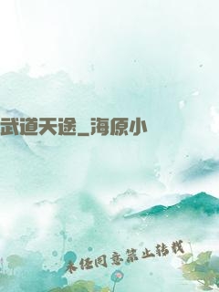 武道天途