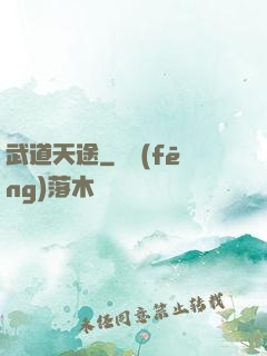 武道天途