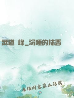 武道巔峰