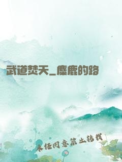 武道焚天