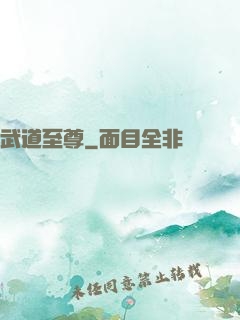 武道至尊