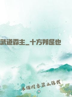 武道霸主