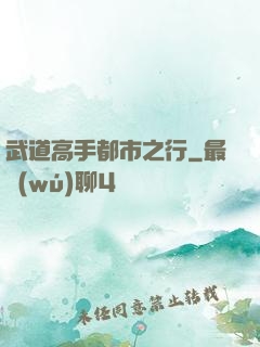 武道高手都市之行