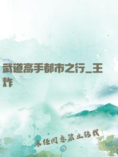 武道高手都市之行