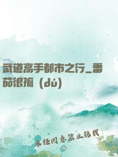 武道高手都市之行