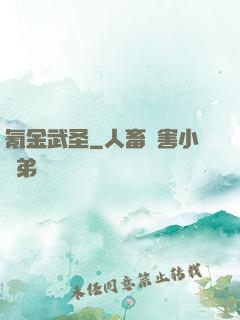 氪金武圣