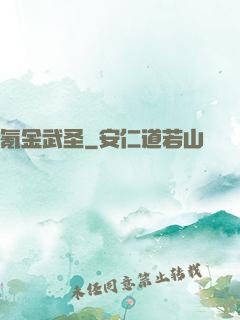 氪金武圣