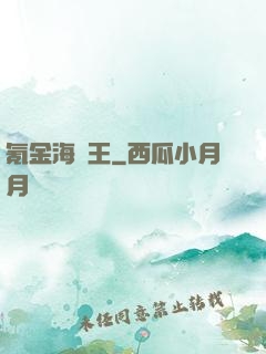 氪金海盜王