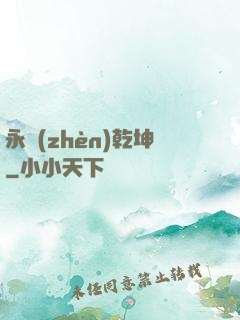 永鎮(zhèn)乾坤