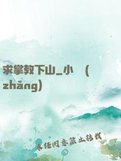 求掌教下山