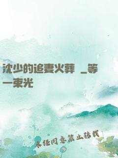 沈少的追妻火葬場